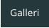 Galleri